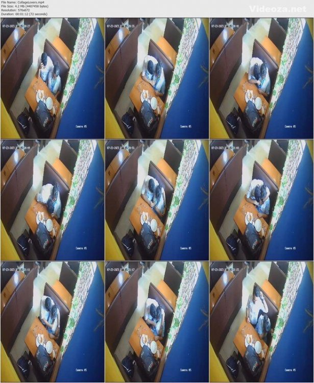 pi29lizpd3t6.jpg