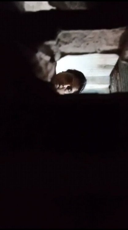 ls4jcum41qnx.jpg